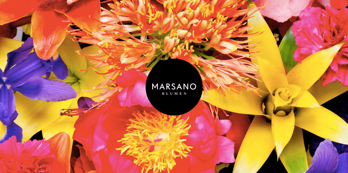 Marsano – Beautiful flowers
